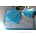 Blue chip 290mm sanitary pads
